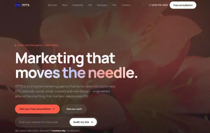 ITFTS website preview